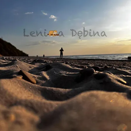 Leniwa Debina Διαμέρισμα