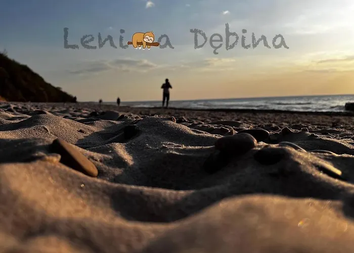 Leniwa Debina 아파트